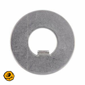 INTERNAL TAB WASHERS